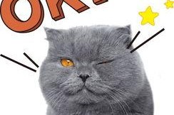 娱乐吃瓜酱猫拦截